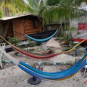  Homestay Sustainable Cabain
